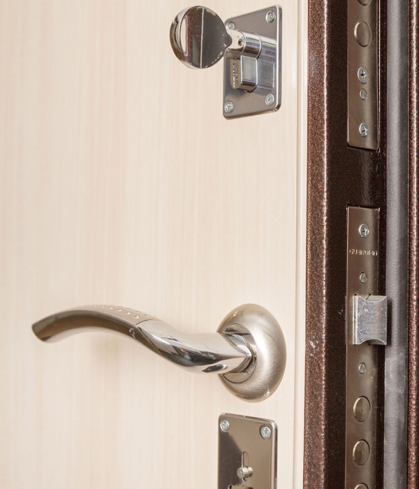 Входные двери